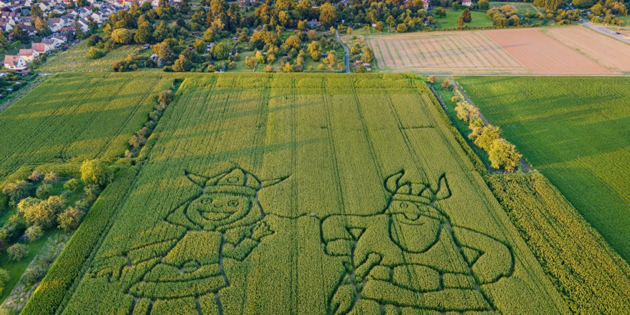 Blockchain Founders Group will Krypto-Start-ups groß machen