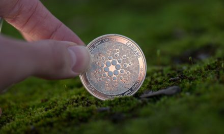 Cardano Foundation pflanzt eine Million Bäume