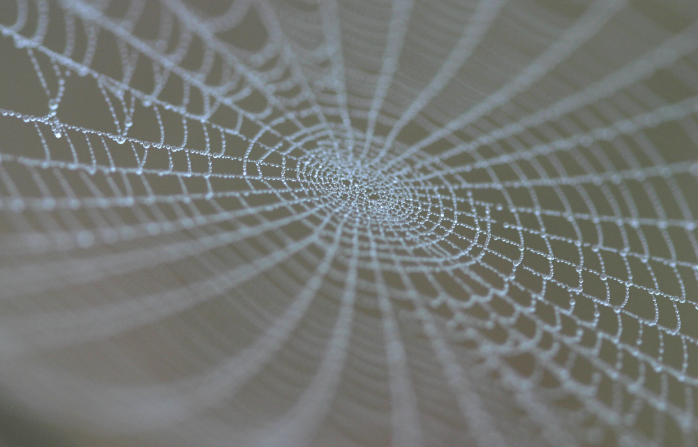 l+f: Malware-Entwickler kuscheln etwas zu eng mit ihrem Trojaner