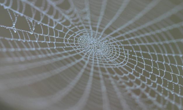 l+f: Malware-Entwickler kuscheln etwas zu eng mit ihrem Trojaner