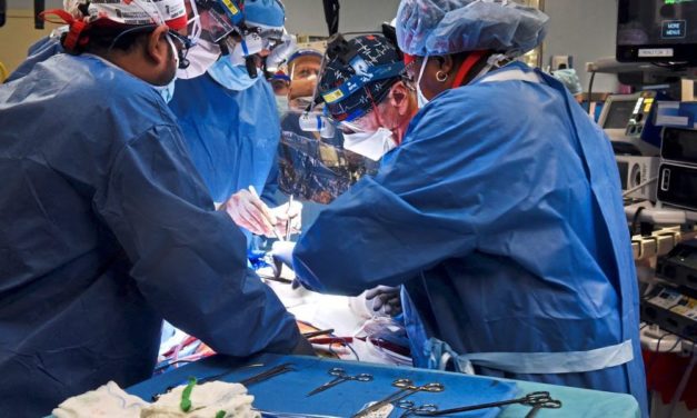Was die erste Schweineherz-Transplantation bedeutet