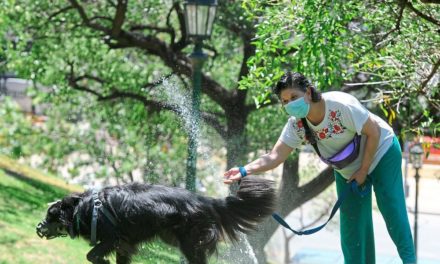 Hitzewelle rollt auf Südamerika zu