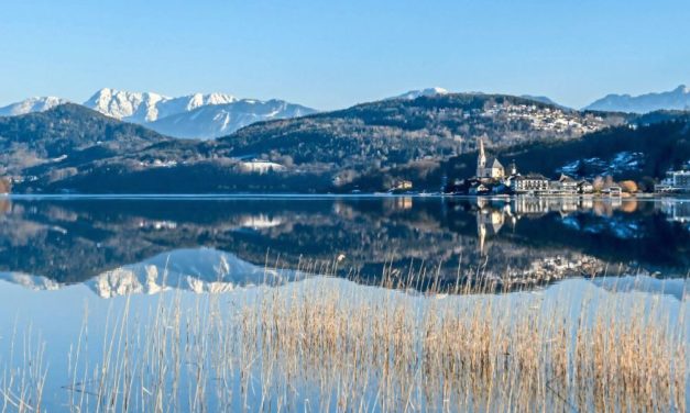 Neue Technologien zum Monitoring von Biodiversität