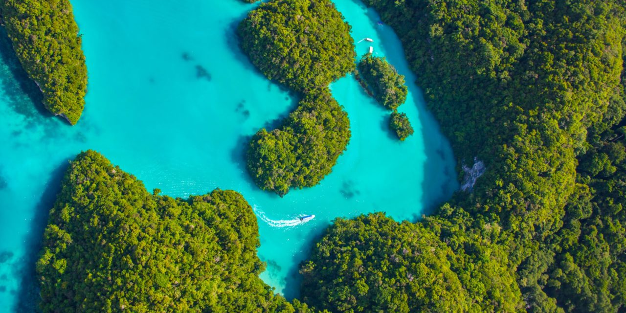 Palau: Dank DLT zum (digitalen) Inselbewohner