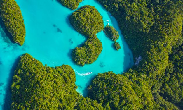Palau: Dank DLT zum (digitalen) Inselbewohner