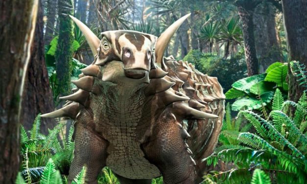 Österreichs einziger Dino ging im Bummelschritt