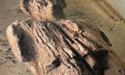 Hölzerne Figur aus der Römerzeit in England entdeckt