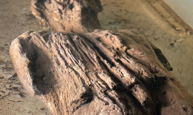 Hölzerne Figur aus der Römerzeit in England entdeckt