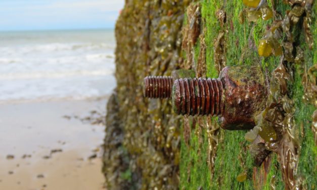 Programmiersprache: Rust 1.58 erweitert Format-Strings und verschmälert den Pfad