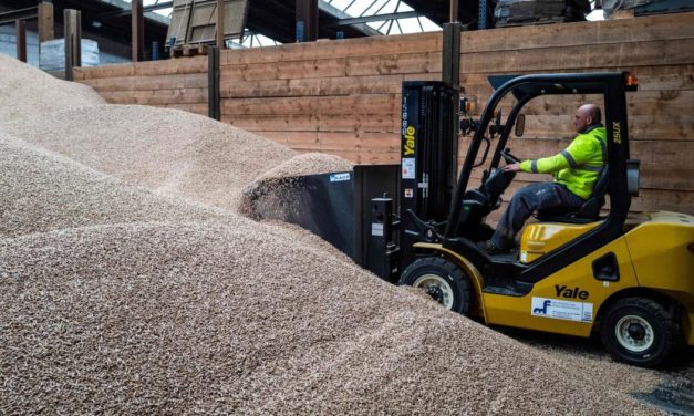 Holzpellets-Preise dürften ab März wieder sinken