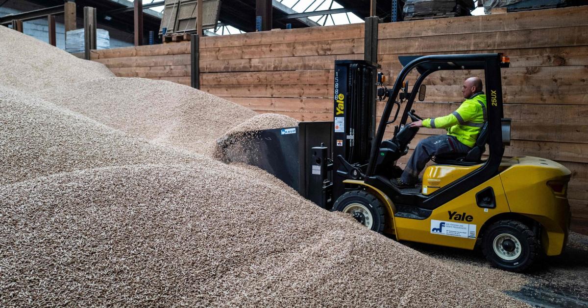 Holzpellets-Preise dürften ab März wieder sinken