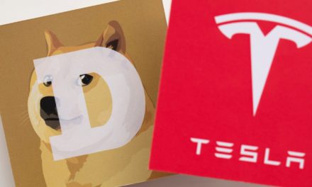 Tesla: Doge-Azeptanz für Merchandise lässt Kurs in die Höhe schnellen