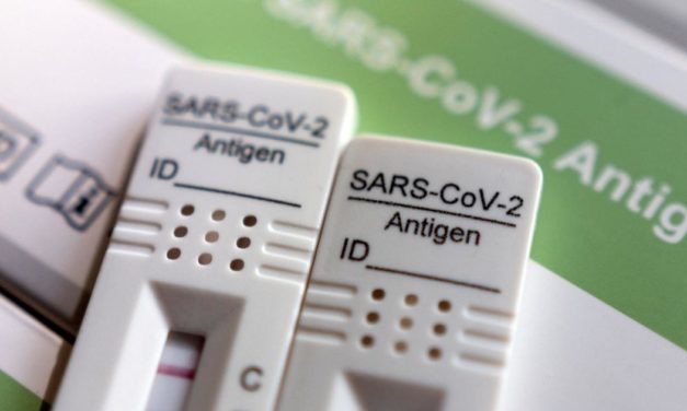 Die Rückkehr der Antigentests: Was bringen sie tatsächlich?