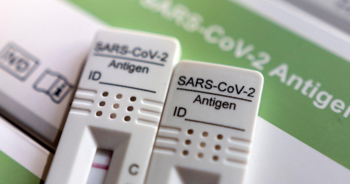 Die Rückkehr der Antigentests: Was bringen sie tatsächlich?