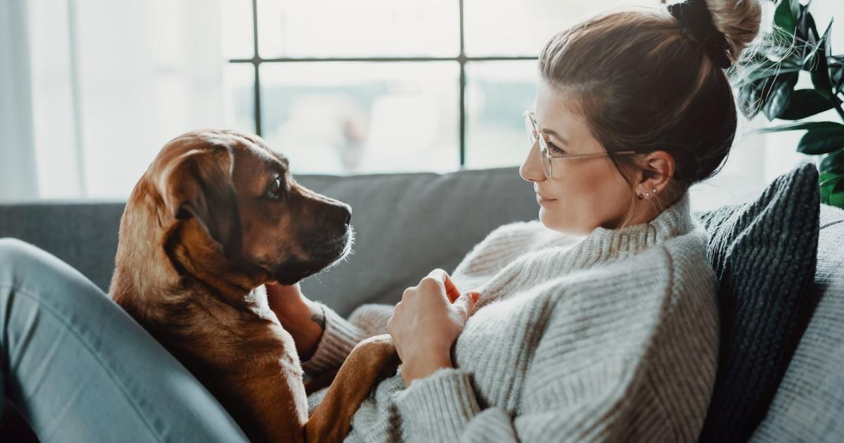 OGH-Urteil: Hunde dürfen Mitbewohner sein