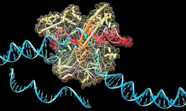 Neue medizinische Anwendungen der Gen-Schere