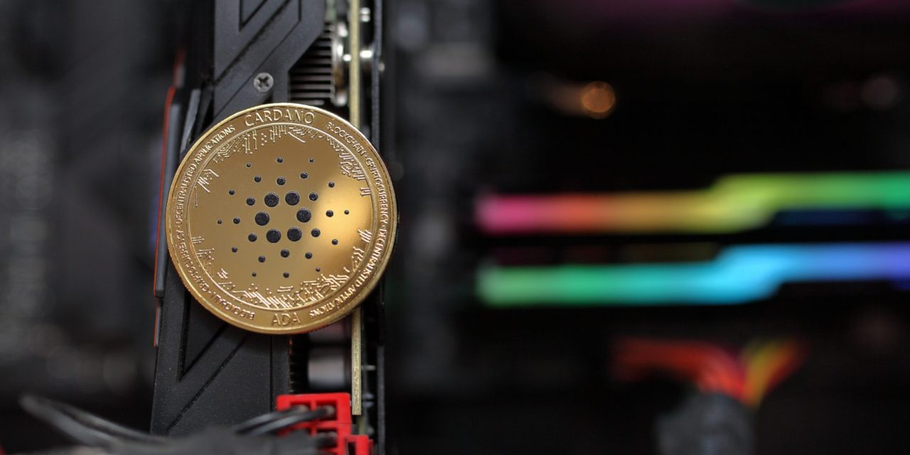 Cardano bekommt „erstes Metaverse-Projekt“