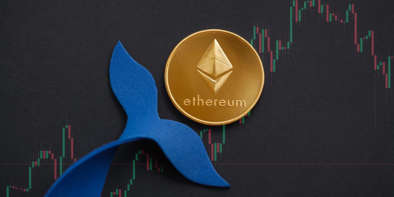 Ethereum-Wal pumpt 120 Millionen US-Dollar in Altcoins