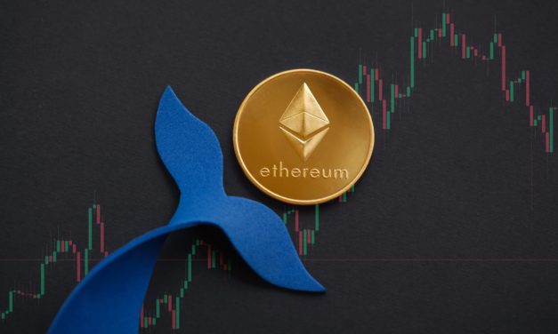 Ethereum-Wal pumpt 120 Millionen US-Dollar in Altcoins