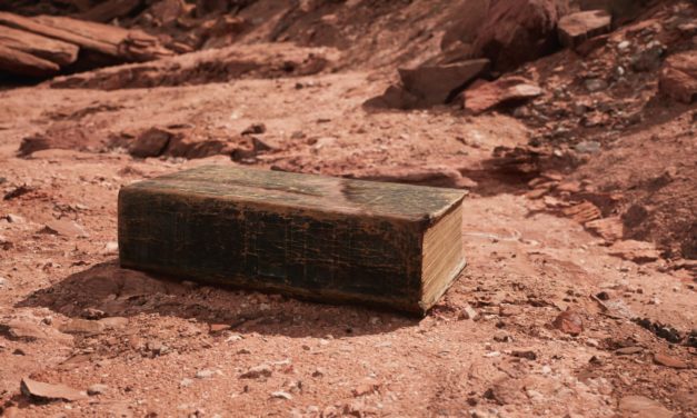 Spice DAO erwirbt Dune-Buch für 2,6 Millionen Euro – ohne Rechte