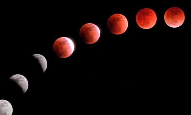 Lange Reisen machen astronautischen Blutzellen zu schaffen