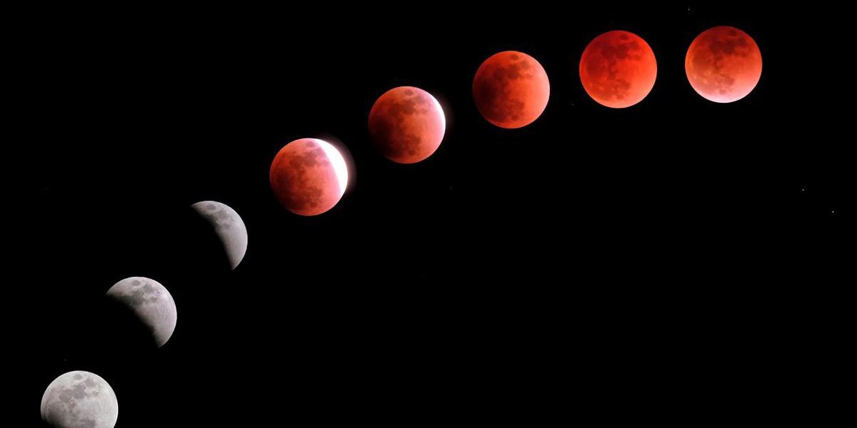 Lange Reisen machen astronautischen Blutzellen zu schaffen