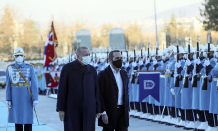 Wird die Türkei zur nächsten Bitcoin-Nation?