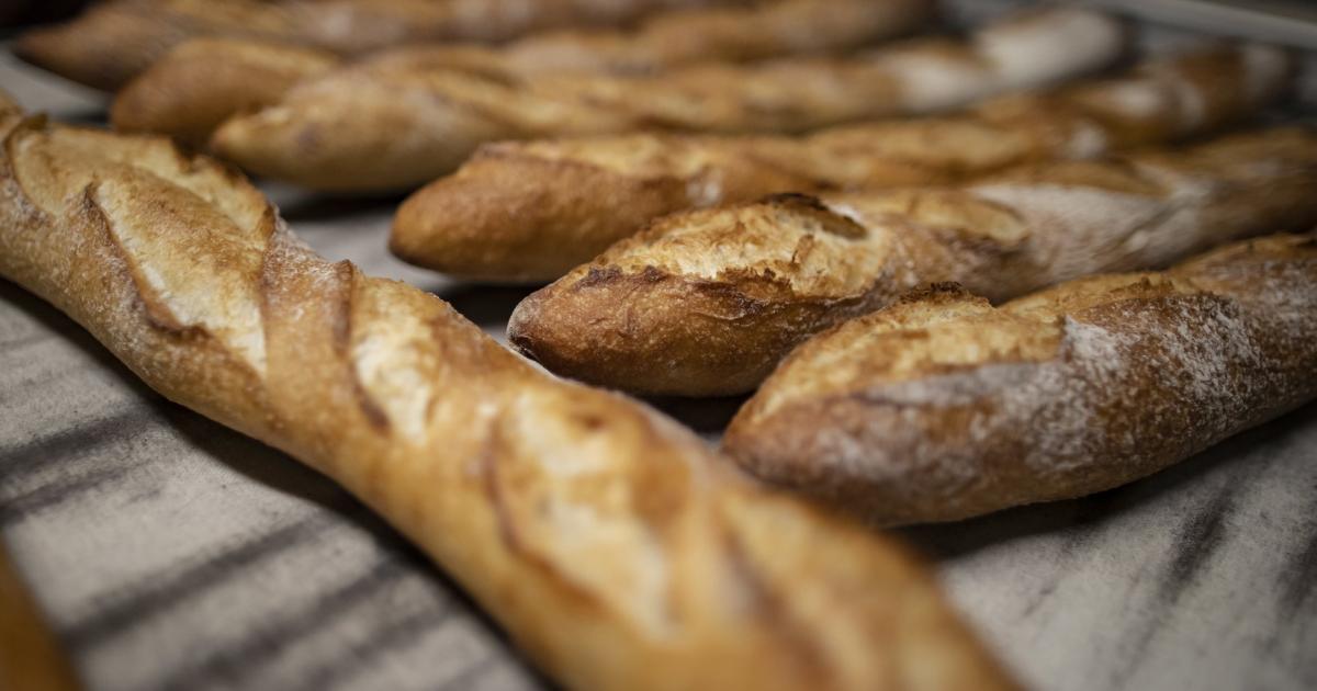 „Baguette-Krieg“: Frankreich streitet um sein liebstes Brot