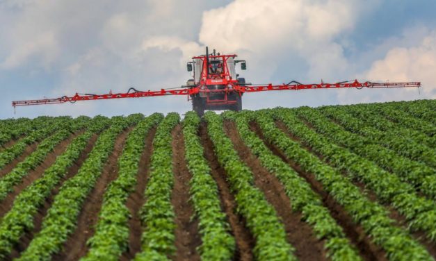 Neue Öko-Prämien für die Landwirtschaft