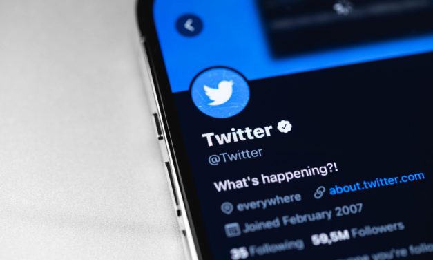 Browser-Plugin blockiert Twitter-Accounts mit NFT-Profilbildern