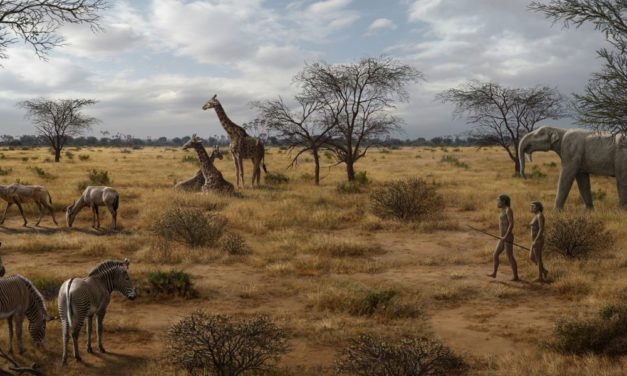 Forschung stellt infrage, dass uns Fleischkonsum zum Menschen machte