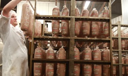 Fleischer wirft Billa „erpresserische Methoden“ vor