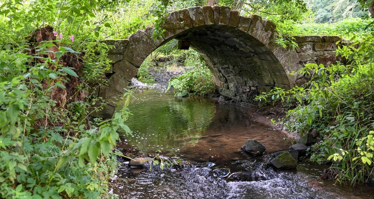 Event-Streaming: Apache Kafka 3.1.0 erweitert das Fetch-Protokoll um Topic IDs