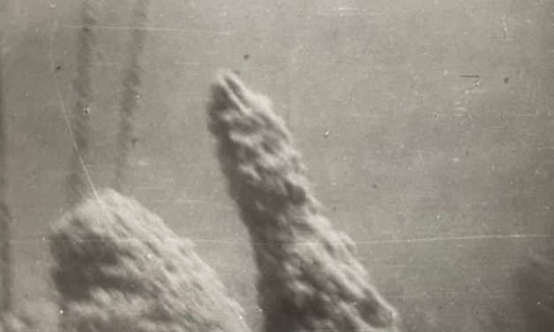 Die ersten Bilder der österreichischen Pfahlbauten