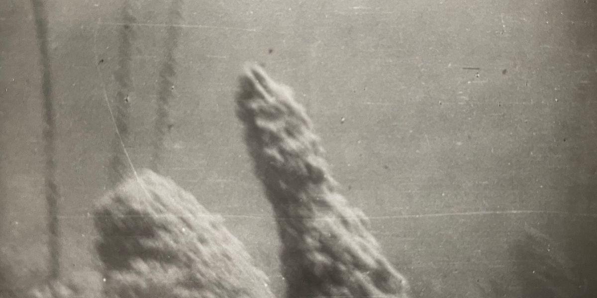 Die ersten Bilder der österreichischen Pfahlbauten