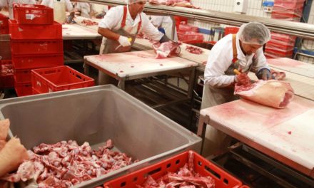 Verfahren: Streit zwischen Rewe und Fleischer Schirnhofer eskaliert