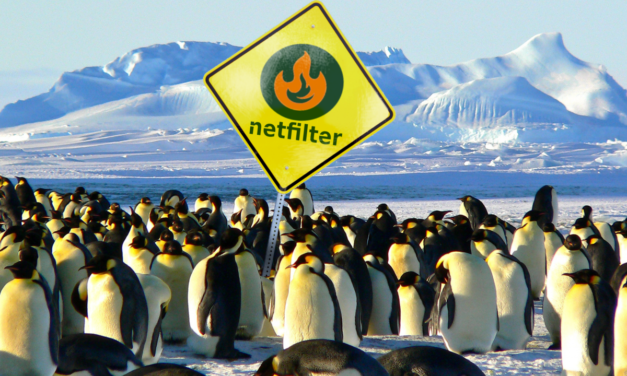 Linux-Kernel und Open-Source-Lizenz: Netfilter-Klagen nur noch mit Mehrheit
