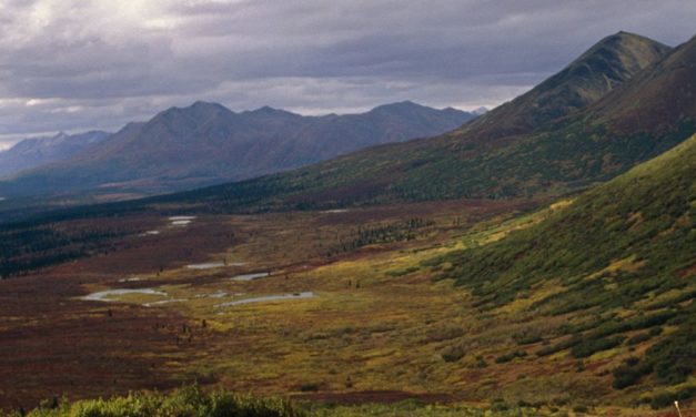 Kälteperiode veränderte Lebensweise der Jäger und Sammler