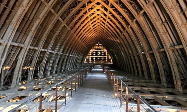 Analyse von Jahresringen in Holz verdeutlicht Zeiten des Wohlstands