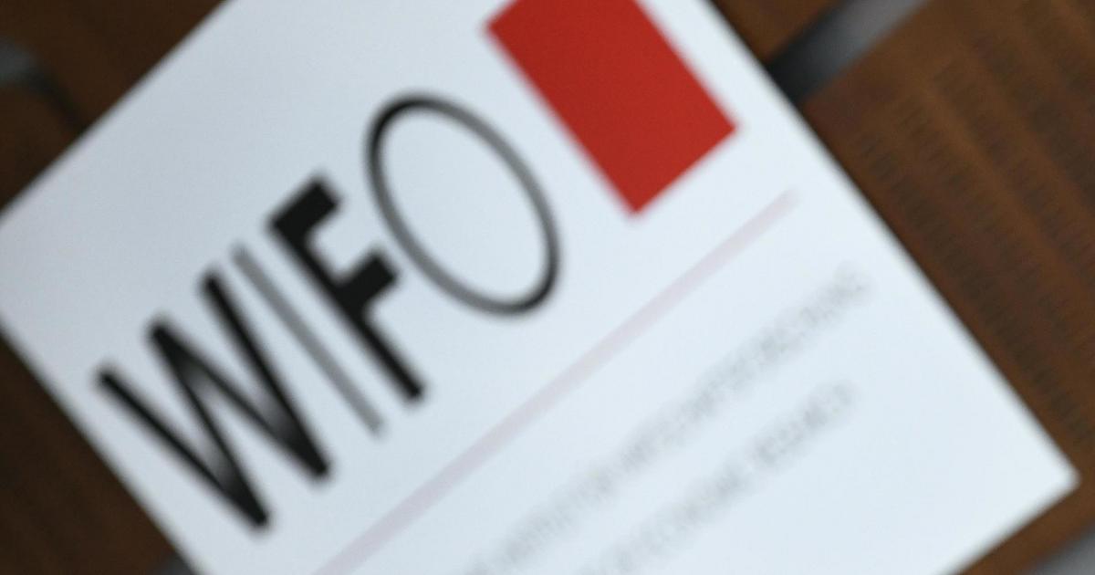 Wifo, IHS & Co.: Die Geldgeber hinter der Wirtschaftsforschung