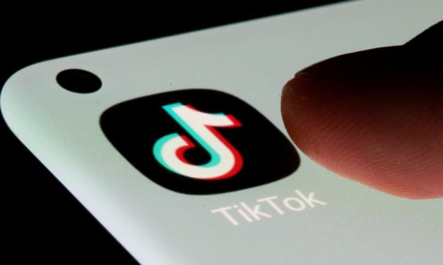 TikTok als Erfolgsbooster: Wie ein heimisches Start-up mit den Kurzvideos Millionen erreicht