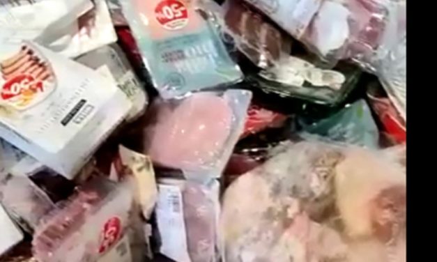 Geschlachtet,  verpackt, verbrannt: Unsere Lebensmittelverschwendung