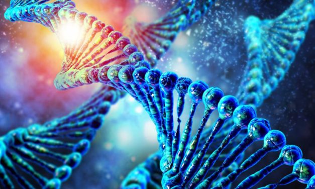 Heimisches Biotech-Startup erhält 18 Millionen Euro Investment
