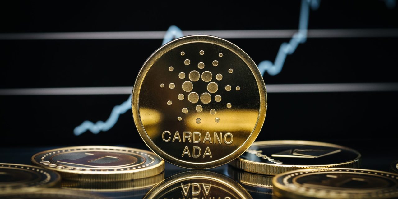 Cardano (ADA): Walpopulation um 15.000 Prozent gestiegen