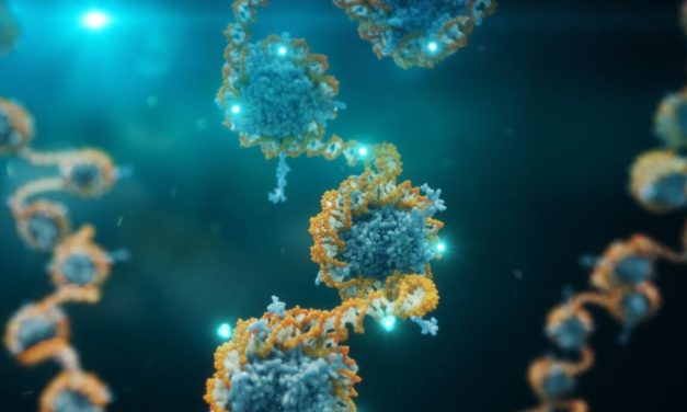 Neuer Test lässt häufige Krebsarten bei Frauen bestimmen