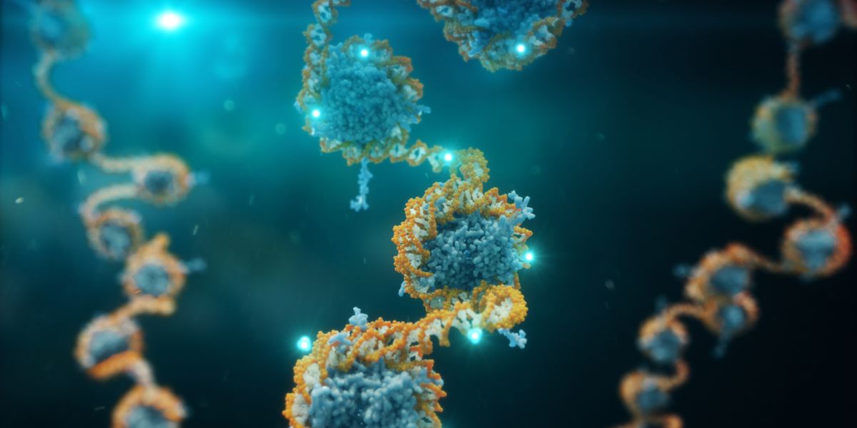 Neuer Test lässt häufige Krebsarten bei Frauen bestimmen