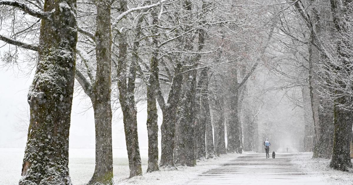 150-Euro-Zuschuss für kalten Winter kommt wohl erst im April