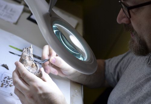 Wien fördert Projekte gegen Wissenschafts- und Demokratieskepsis