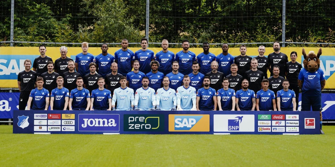 Baby Doge wird Sponsor der TSG Hoffenheim