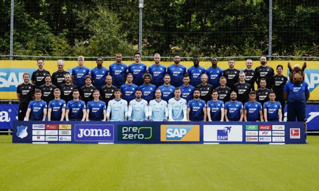 Baby Doge wird Sponsor der TSG Hoffenheim